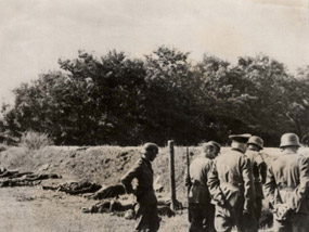 Streljanje civila &scaron;irom Srbije