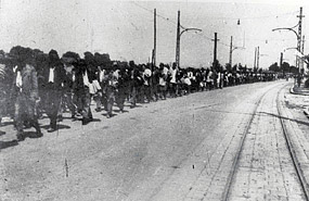 Column of captives from Kozara